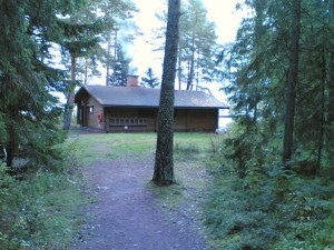 mansikki5